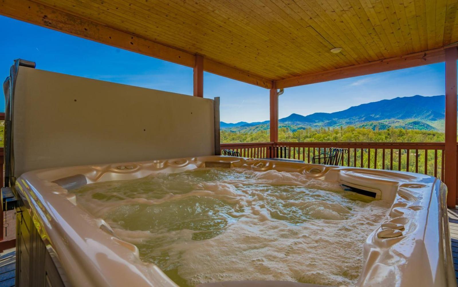 Beartastic Mountain View Lodge Gatlinburg Extérieur photo