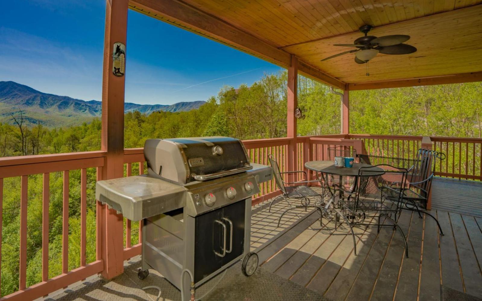 Beartastic Mountain View Lodge Gatlinburg Extérieur photo